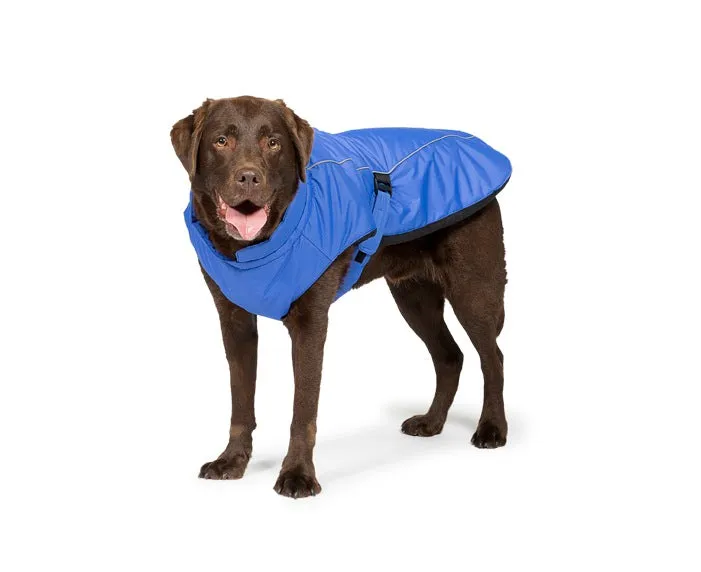 Sporty Dog Coats